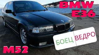 BMW E36_M52. БУМЕР БОЕЦ или ВЕДРО? Немецкая НАДЕЖНОСТЬ спустя 30 лет.