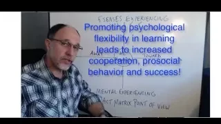 Promoting Psychological Flexibility in Education