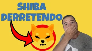 URGENTE.  PORQUE A SHIBA ESTÁ CAINDO? ENTENDA A POLÊMICA DO COINMARKETCAP. PORQUE A SHIBA DERRETEU?