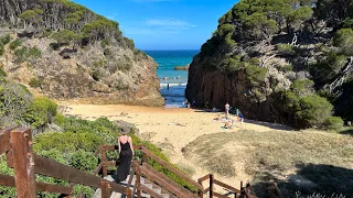 South Coast Part 2 NSW Australia - Narooma to Eden and EVERYTHING in between!