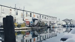 Harbor Fish Market Intro