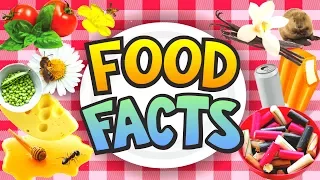 FUN FOOD FACTS