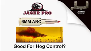 WILD HOG CONTROL | JAGER PRO™ TV Show | 6MM ARC ROUNDS? FEATURING THE GEISSELE SUPER PRECISION MOUNT