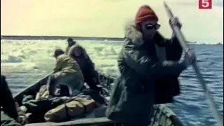 22 1972 Улыбка моржа - Подводная одиссея команды Кусто