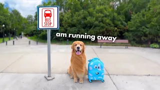 I'm Running Away!