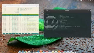 elementary OS 5.0 Juno - для профессионального использования?