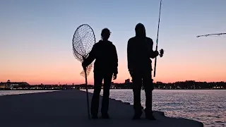 Lake Michigan Salmon Fishing- September 2023