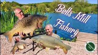 241 - Bells Mill Fishery. (session cut short by spawning)