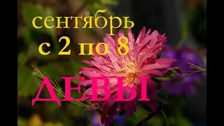 ДЕВЫ. С 2 по 8 СЕНТЯБРЯ 2019 г. ПРОГНОЗ на НЕДЕЛЮ.