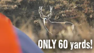 Mule Deer Hunting with Guy Eastman - Eastmans’ Hunting TV