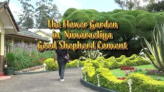 Good Shepherd Convent Garden in Nuwara Eliya