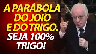 A parábola do Joio e do Trigo (Mateus 13:36 a 43) Minha vida deve ser como uma lavoura abençoada .