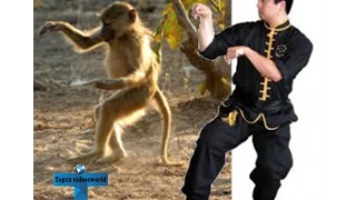 Top 10 Most Lethal Martial Arts In The World