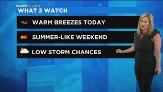 Chicago Weather: Summer-Like Weekend, With Low Storm Chances