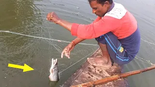 Amazing Gill Net Fishing | Big Fish Catching with Net | Gill Net Fishing Survival