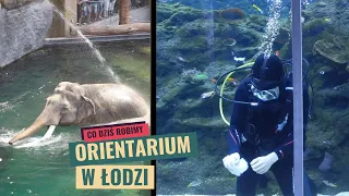 Orientarium i Zoo w Łodzi