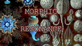 Morphic Resonance; The Theory of Formative Causation