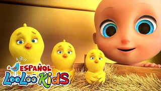 🎵 ¡Una Hora de Alegría con Los Pollitos! 🐤🎶🕒| Canciones infantiles LLK