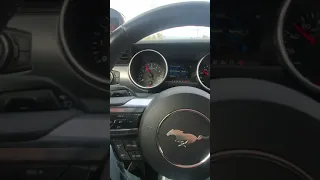 HELLCAT VS 5.0 MUSTANG