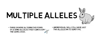 Multiple Alleles