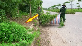 Nobody Believed There Was a Beautiful Sidewalk Until We Came and Cleaned up the Overgrown Grass