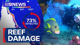 Majority of Great Barrier Reef suffering ‘prevalent bleaching’ | 9 News Australia