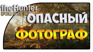 theHunter: Call of the Wild - Нападение медведя