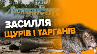 У Лисичанську орудують ОКУПАНТИ, ЩУРИ ТА ТАРГАНИ! Місто перетворили на військову базу.Валерій Шибіко