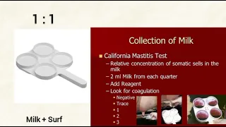 California mastitis test || CMT || Diagnosis of mastitis by CMT || surf field test || surf test