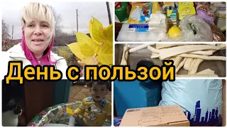 Самый умный овощ/Как отправить посылку/Листья есть, а дуба нет/Песочница в квартире/Медвежья услуга