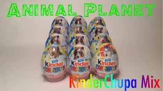 Открываем Киндер Сюрприз Animal Planet (Unboxing Kinder Surprise "Животные")