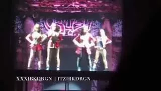 [FANCAM] 2NE1 All Or Nothing World Tour in Macao - Crush