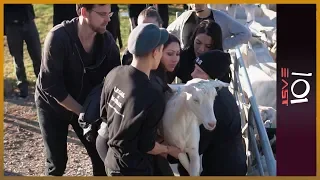 Australia's Vegan Fight | 101 East