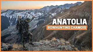 Bowhunting the first ever Anatolian Chamois in modern times.