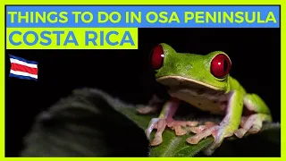 El Lugar Biológicamente Más Intenso de la Tierra Península de Osa Costa Rica