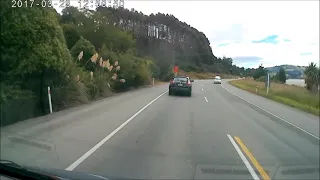 Almost Road-kill