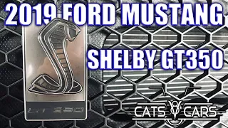 2019 Ford Mustang Shelby Cobra GT350 video - CatsAndCars