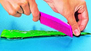 22 CLEVER HACKS WITH ALOE VERA THAT WORK WONDERS