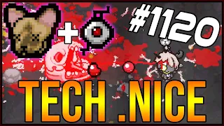 TECH .NICE - The Binding Of Isaac: Afterbirth+ #1120