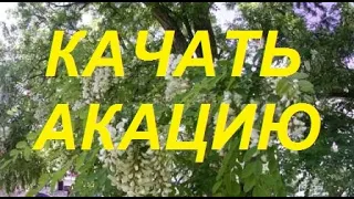 Качка мёда Белой Акации.Один день из жизни пчеловода.