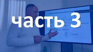 Софоос Вебинар - Принцип сборки событий будущего 3 из 3 23-10-2021