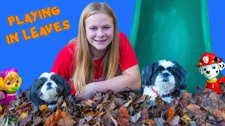 Assistant Fall Fun in the Leaves with Wiggles & Waggles