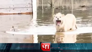 «ЧП»: 3 апреля 2024 года | «Чрезвычайное происшествие» на НТВ