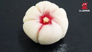 Wagashi - A unique expression and celebration ofJapanese culture | injapanstories