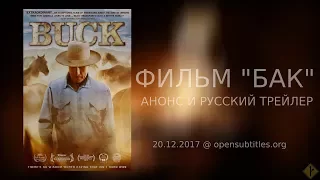 Фильм "Бак" ('Buck', 2011) - анонс и трейлер | заклинатель лошадей Бак Бреннаман и его лошади