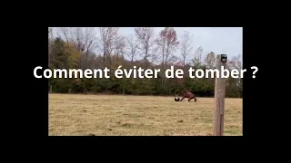 La première chose à faire pour ne pas tomber de cheval