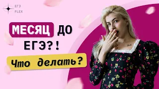 МЕСЯЦ ДО ЕГЭ ПО РУССКОМУ | КАК ПОВТОРИТЬ ВСЁ ?! | Русский с Верой ЕГЭ Flex