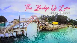 The Bridge Of Love | 705FPV