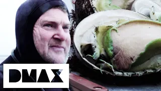 Divers Risk Fishing In Unknown Waters To Secure A Huge Abalone Haul | Dive Wars Australia