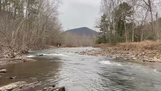 Bald Eagle Fishing - Splash & Grab